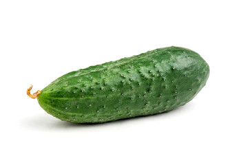 Cucumber on white background. cucumber