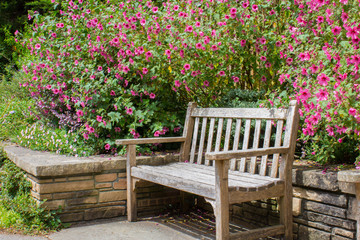Single bench in Garden
