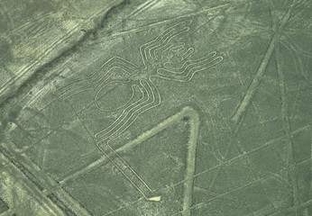 The Nazca Lines in Peru, here you can see the Spider
