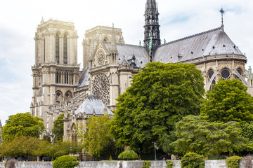 Obraz premium Notre-Dame de Paris in the evening in Paris