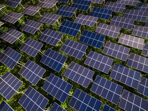 Solar panels (solar cell) in solar farm to create the clean electric power.