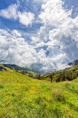 Portrait view of  a green rural green valley with clouds near Salento, Colombia.