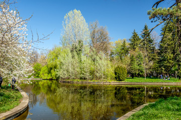 Fototapeta na wymiar Spring atmosphere in the park