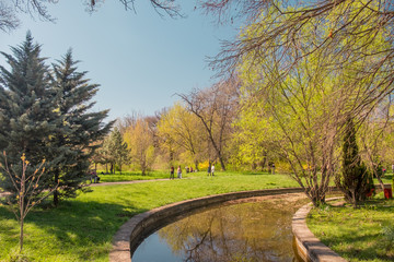 Spring landscape with the river and blue sky