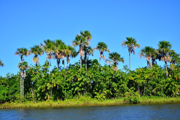 Fototapeta na wymiar Maranhão
