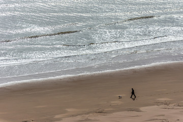 Man walks dog on beach.