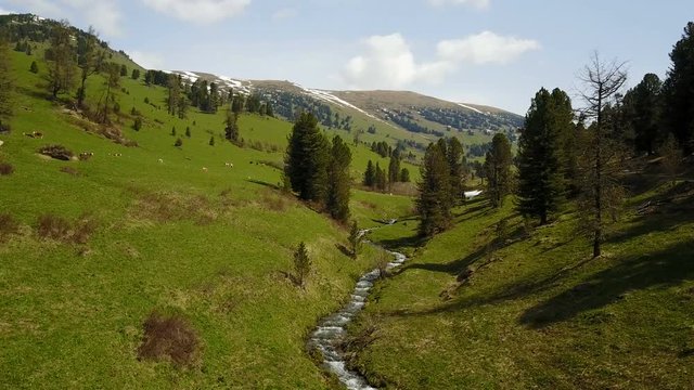 Aerial photography, summer mountains of the Altai, green meadows. Landscapes of nature