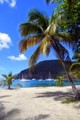 Fototapeta na wymiar Plage et bateaux sous les palmiers, Guadeloupe