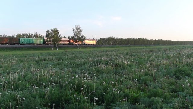 Freight train passing on a railroad track in the field