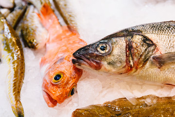 Fresh Fishes And Seafood On Ice In Fish Market