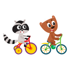 Cute little raccoon and bear characters riding bicycles together, cartoon vector illustration isolated on white background. Baby raccoon and bear animal characters riding bicycle and tricycle