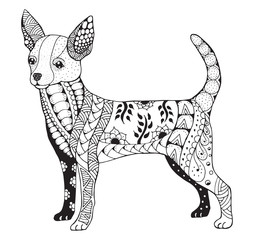 Chihuahua zentangle stylized, vector, illustration, freehand pencil, hand drawn, pattern. Zen art. Ornate vector. Lace.