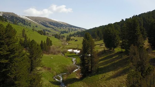 Aerial photography, summer mountains of the Altai, green meadows. Landscapes of nature