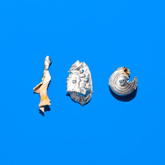 Broken shells set Minimal art design