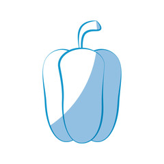 pepper vegetable icon over white background vector illustration
