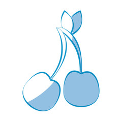 cherries fruit icon over white background vector illustration