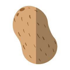 potato vegetable icon over white background vector illustration