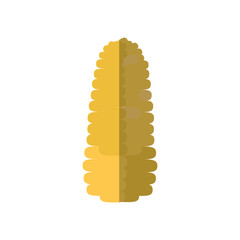 corn vegetable icon over white background vector illustration