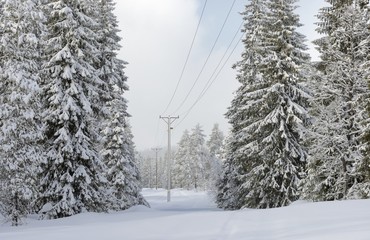Power lines in winter landscape.