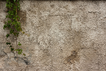 Old wall textures