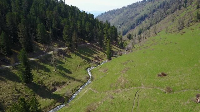 Aerial photography, summer mountains of the Altai, green meadows. Landscapes of nature