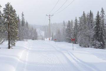 Power lines in winter landscape.
