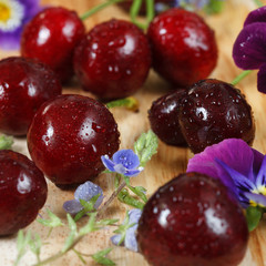 Cherries on wooden table with water drops macro background. With wildflowers. Closeup.  Square image. 