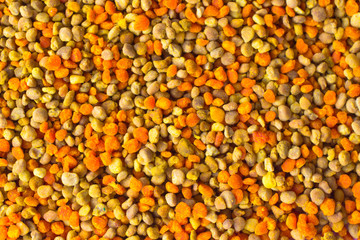 Pollen of different colors closeup