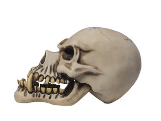 Werewolf skull_Side