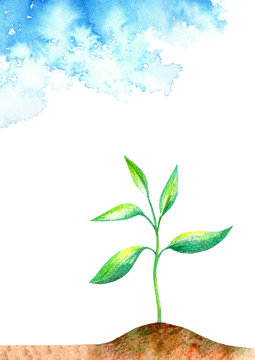 Sprout in the ground and sky.Spring picture.Watercolor hand drawn illustration.White background.
