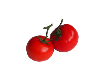 Помидоры на веточке на белом фоне