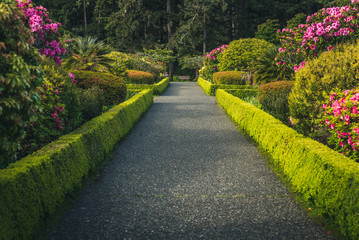 Lush flower garden.