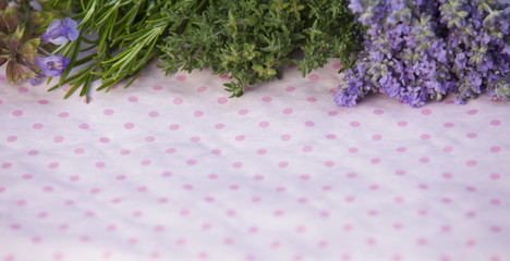bunch of Lavender, thymus and rosemary on a pink dottet ground