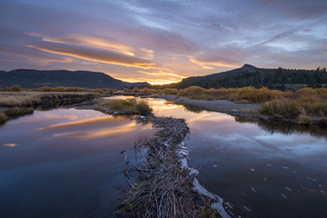 A beaver dam stretches out on the West Fork Carson River during a beautiful sunrise in the fall in Hope Valley, California.