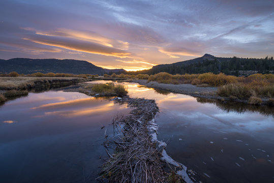 A beaver dam stretches out on the West Fork Carson River during a beautiful sunrise in the fall in Hope Valley, California.