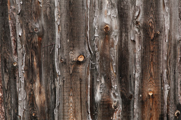 Wood textures