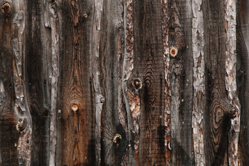 Wood textures