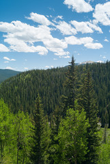 Guanella Pass Colorado