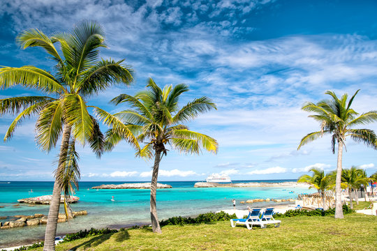 Idyllic tropical beach with palm trees