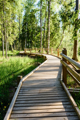 Fototapeta na wymiar wooden footbridge in the forest