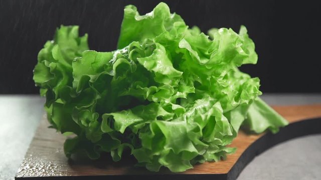 Fresh leaves of green salad, greens and vegetables, vitamins in healthy food