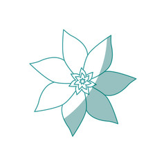 beautiful flower icon over white background vector illustration