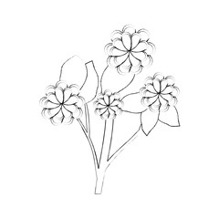 beautiful flowers icon over white background vector illustration