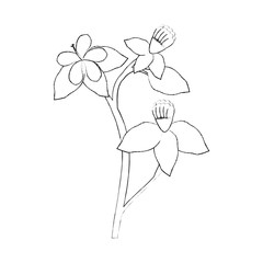 beautiful flowers icon over white background vector illustration