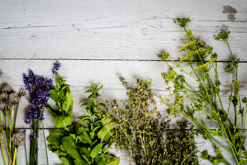 Various of fresh herbs on rustic table