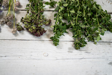 Various of fresh herbs on rustic table