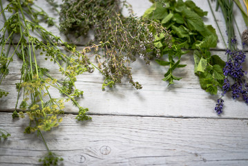 Various of fresh herbs on rustic table