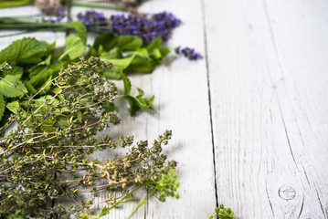 Various of fresh herbs on rustic table