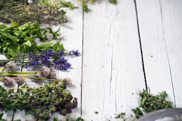 Various of fresh herbs on rustic table