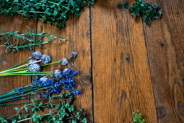 Various of fresh herbs on rustic table